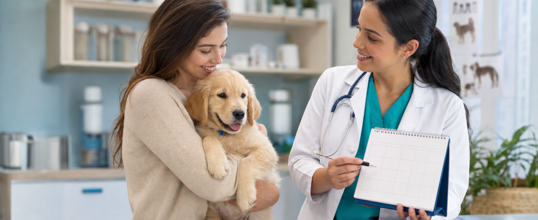 Calendário de vacinas para filhotes de cães: mês a mês