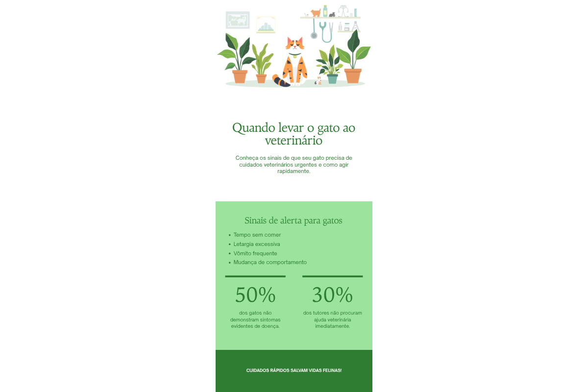Gato não come há 24 horas — detalhe relacionado ao tema do artigo