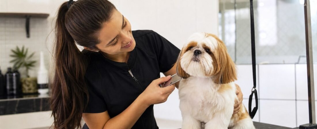 Banho e Tosa Profissional: Cuidados Essenciais para o Bem-Estar do Seu Pet