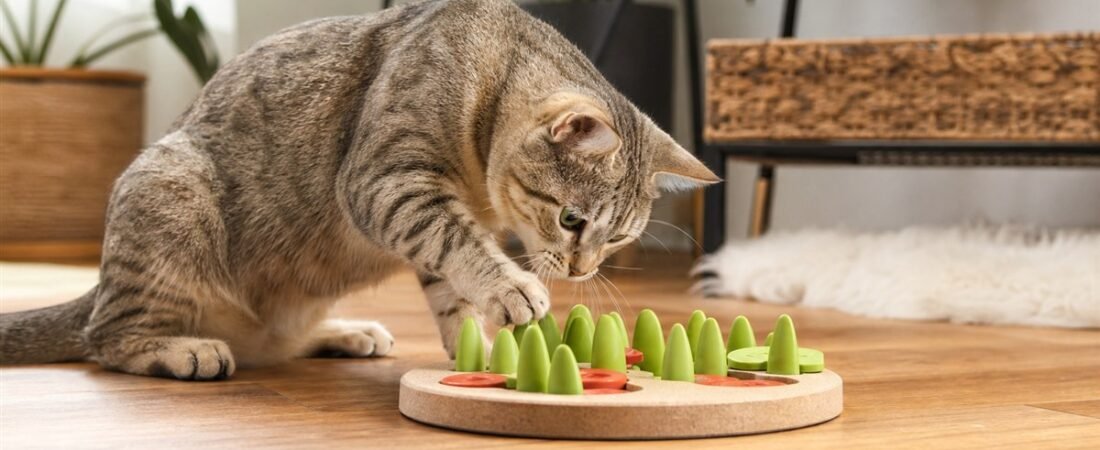 Tédio dos Gatos: Motivos, Consequências e 5 Estratégias Para Acabar com o Tédio Felino