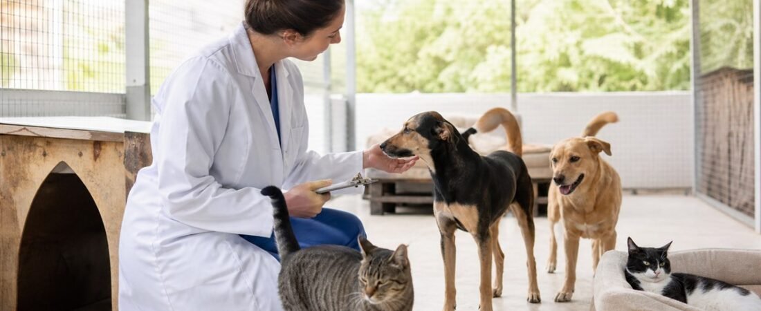 🐾 Pets Criados em Cativeiro para Venda: Aspectos Legais, Bem-Estar Animal e Quando Configura Maus-Tratos